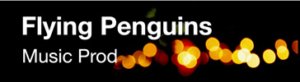 Logo de l'association Flying Penguins
